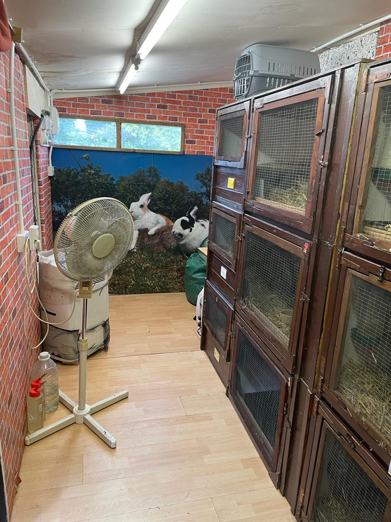Doncaster Small Animal... - Doncaster Small Animal Boarding