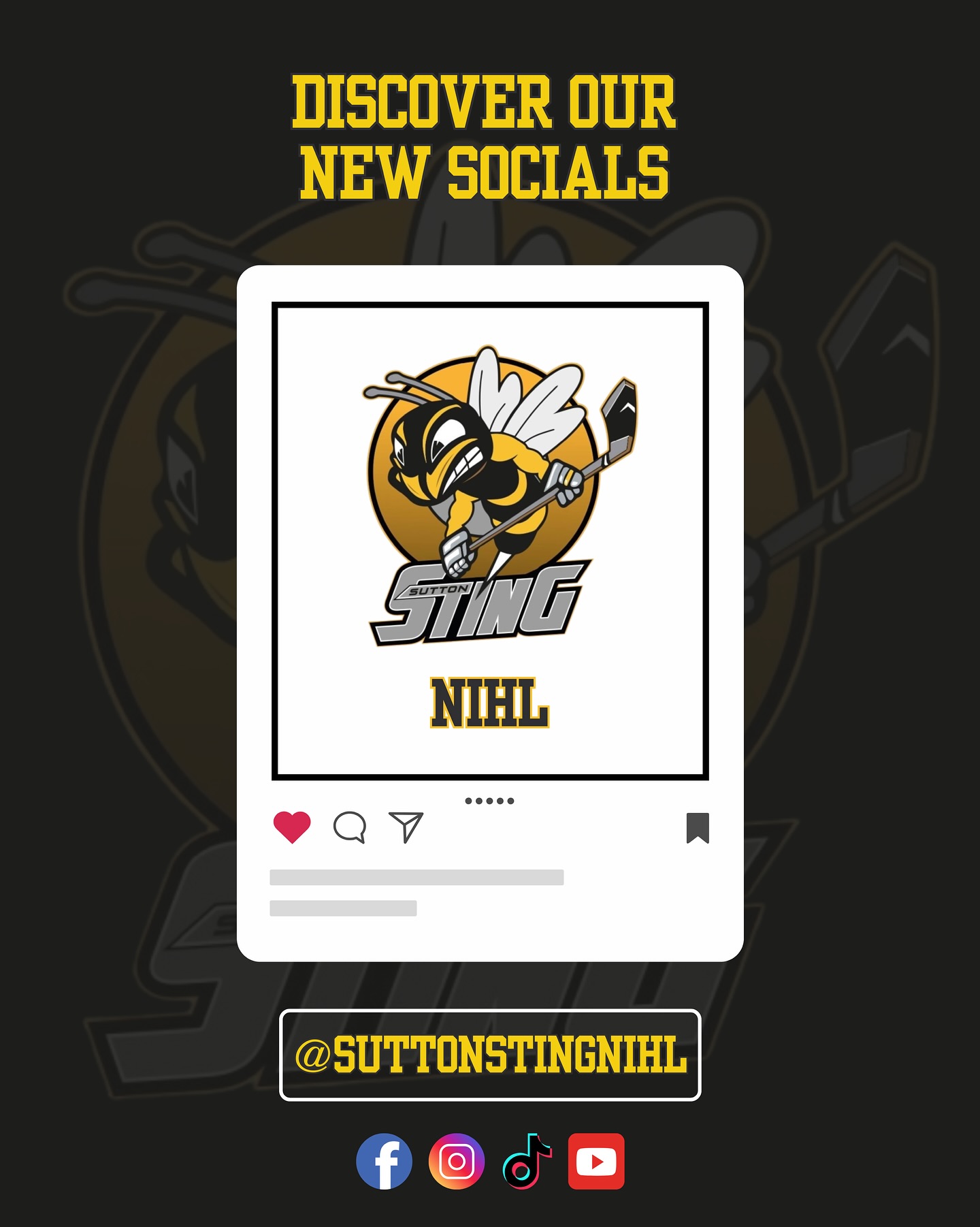 Sutton - 🐝Welcome to our NEW Official Sutton Sting NIHL social media ...