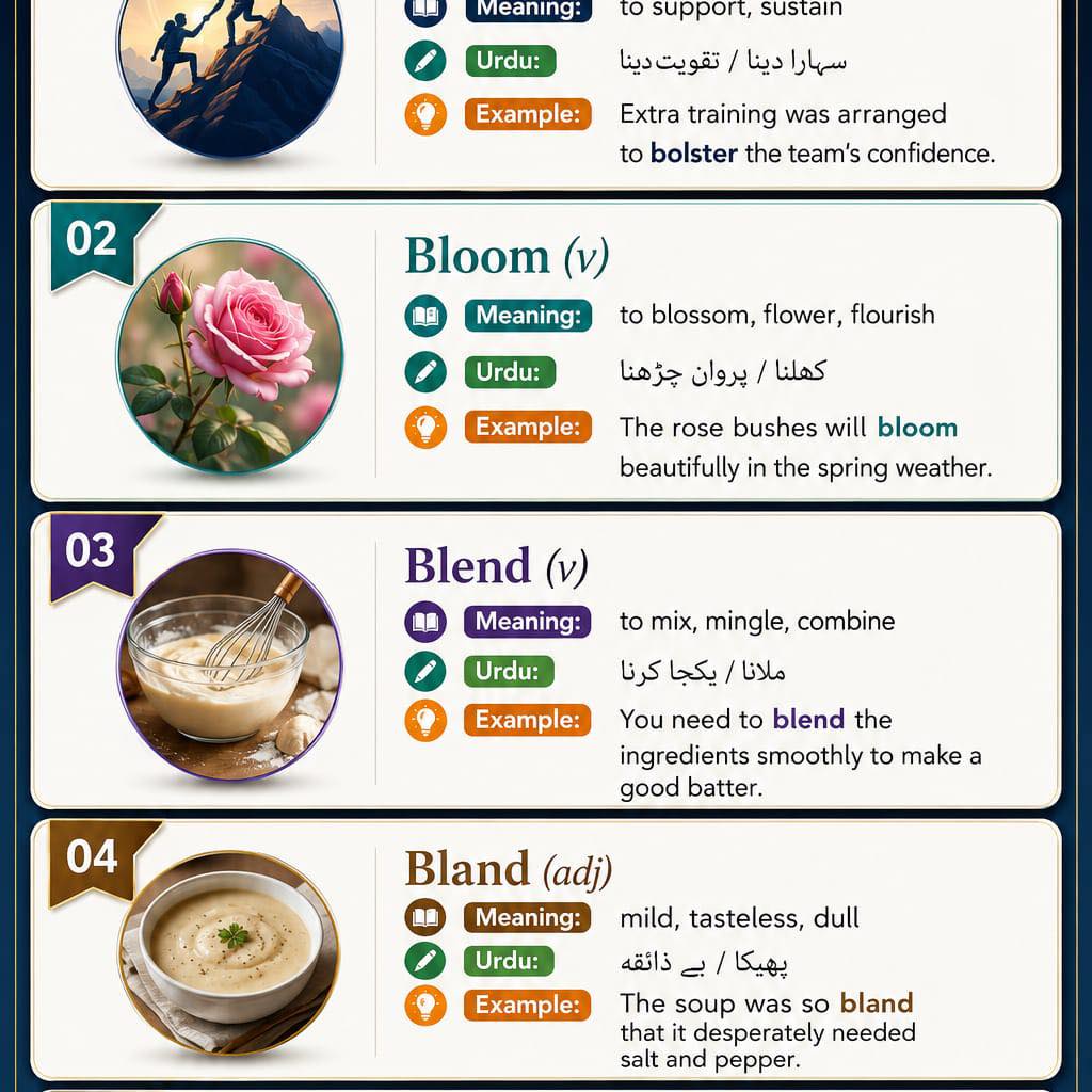 📚 Learn 4 Useful English Phrasal Verbs with “LOOK”! #facebookreels # ...