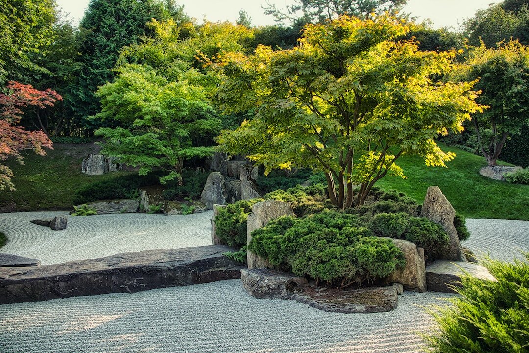 Mintea Zen