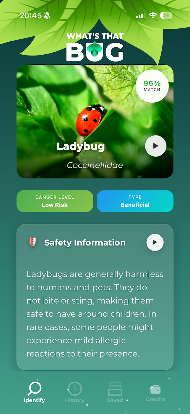 What’s That Bug? - Family Nature Explorer App