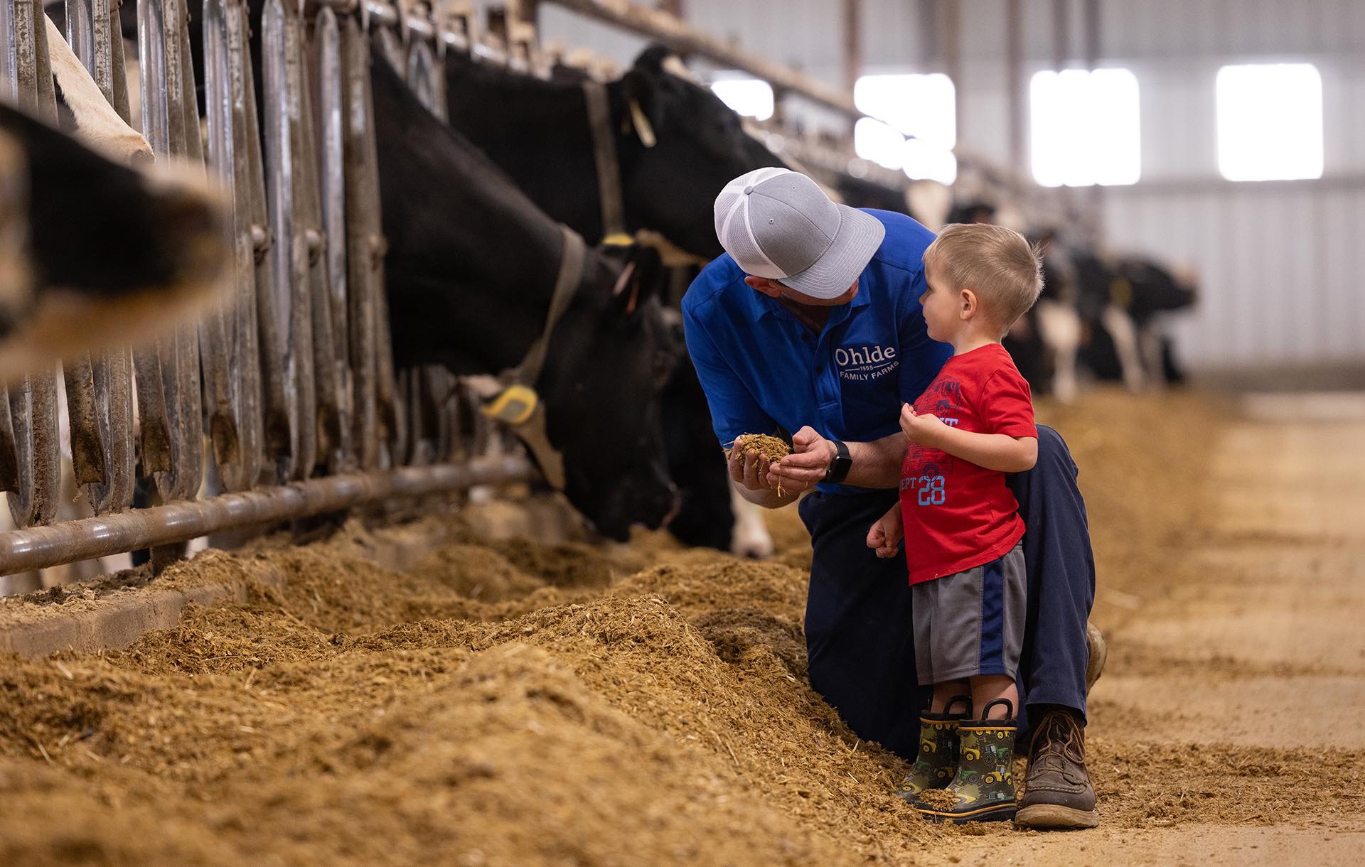 Nedap Livestock - For Jared Schilling, owner, New Back Forty, precise ...