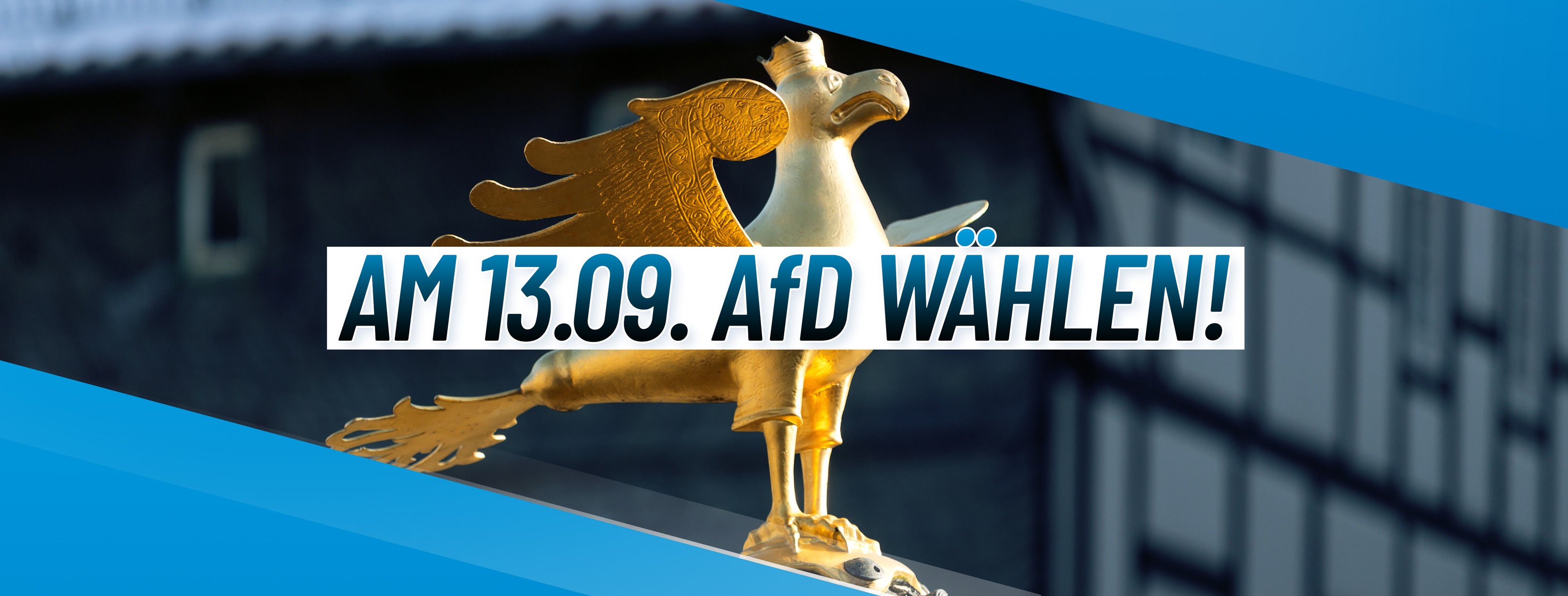 AfD Ortsverband Altkreis Lingen
