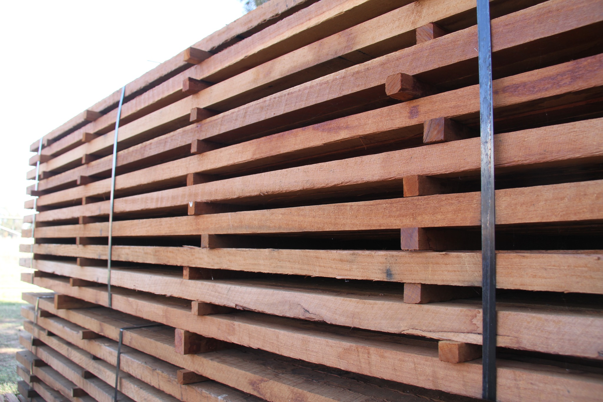 Narrow Leaf & Beef - Timber Mill | Inglewood QLD
