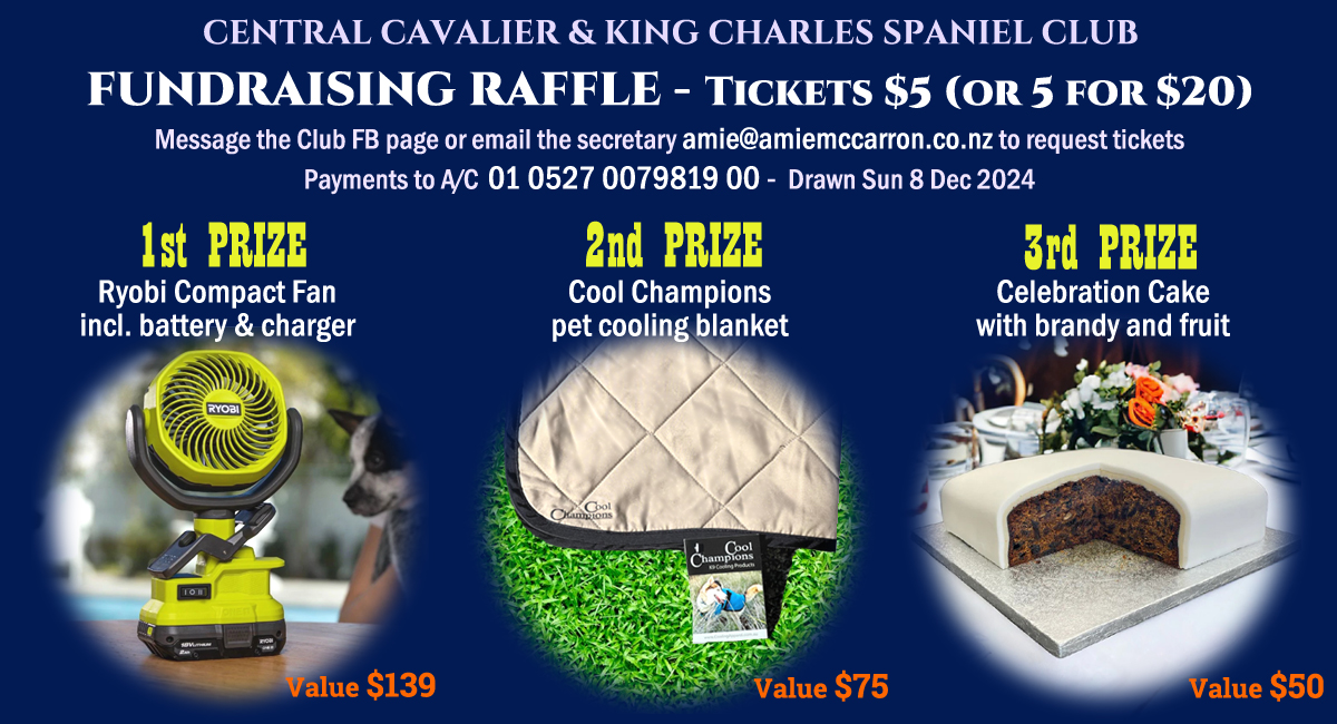 Central Cavalier and King Charles Spaniel Club NZ - Announcing our ...
