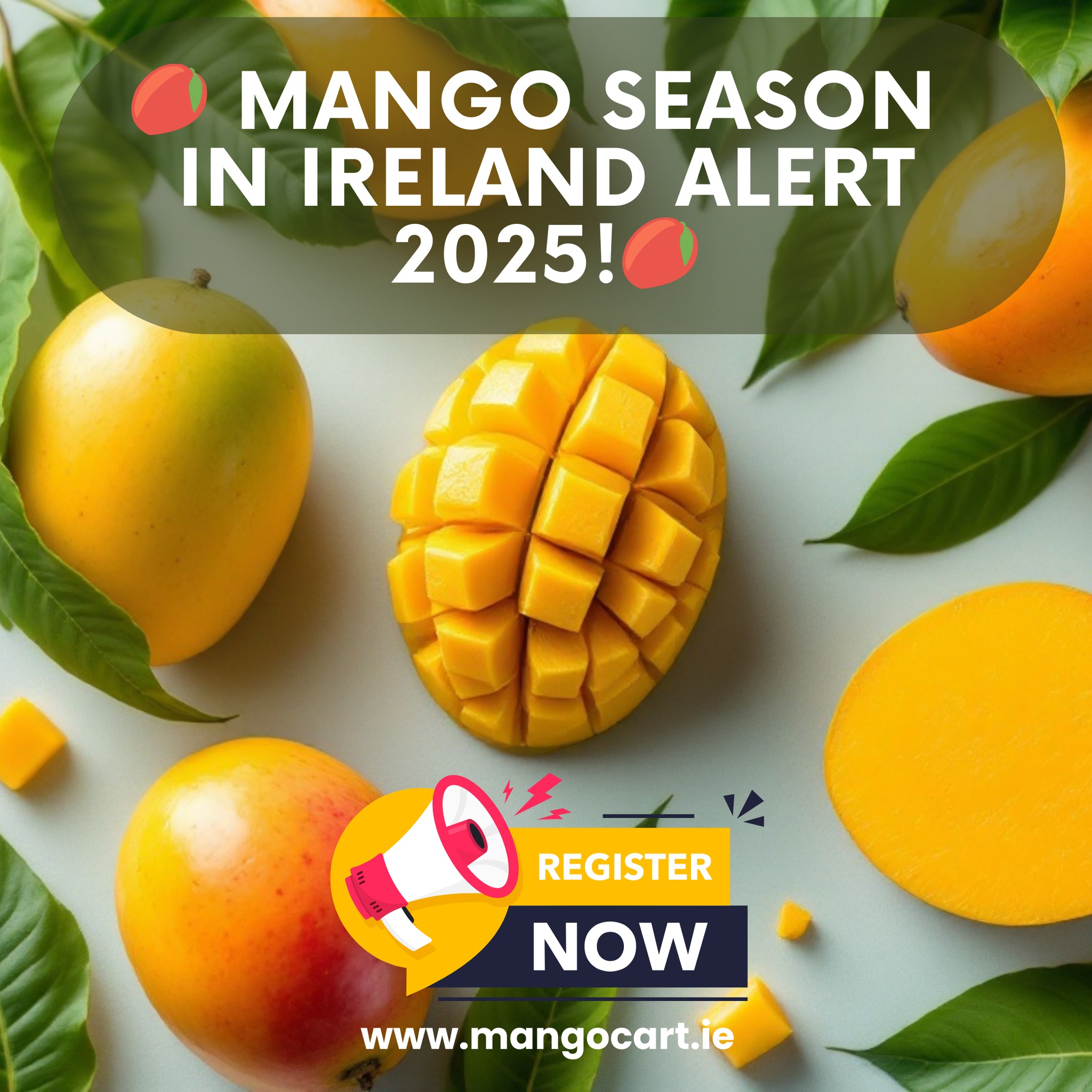 Mangocart.ie - 🥭 Mango Season 2025 is Coming to Ireland! Can't wait for ...