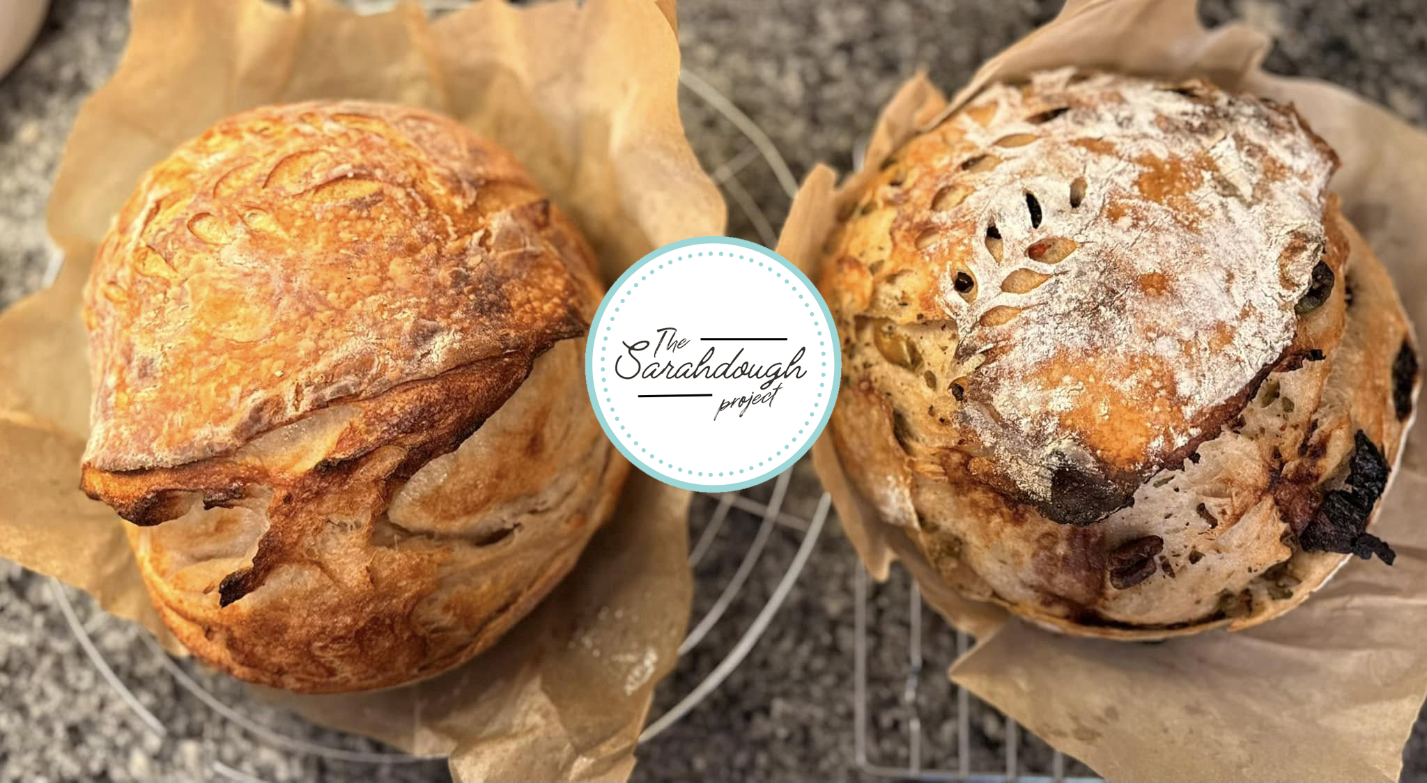 The Sarahdough Project | Fort Worth TX