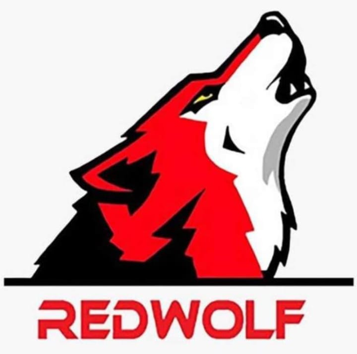 Red wolf | Facebook