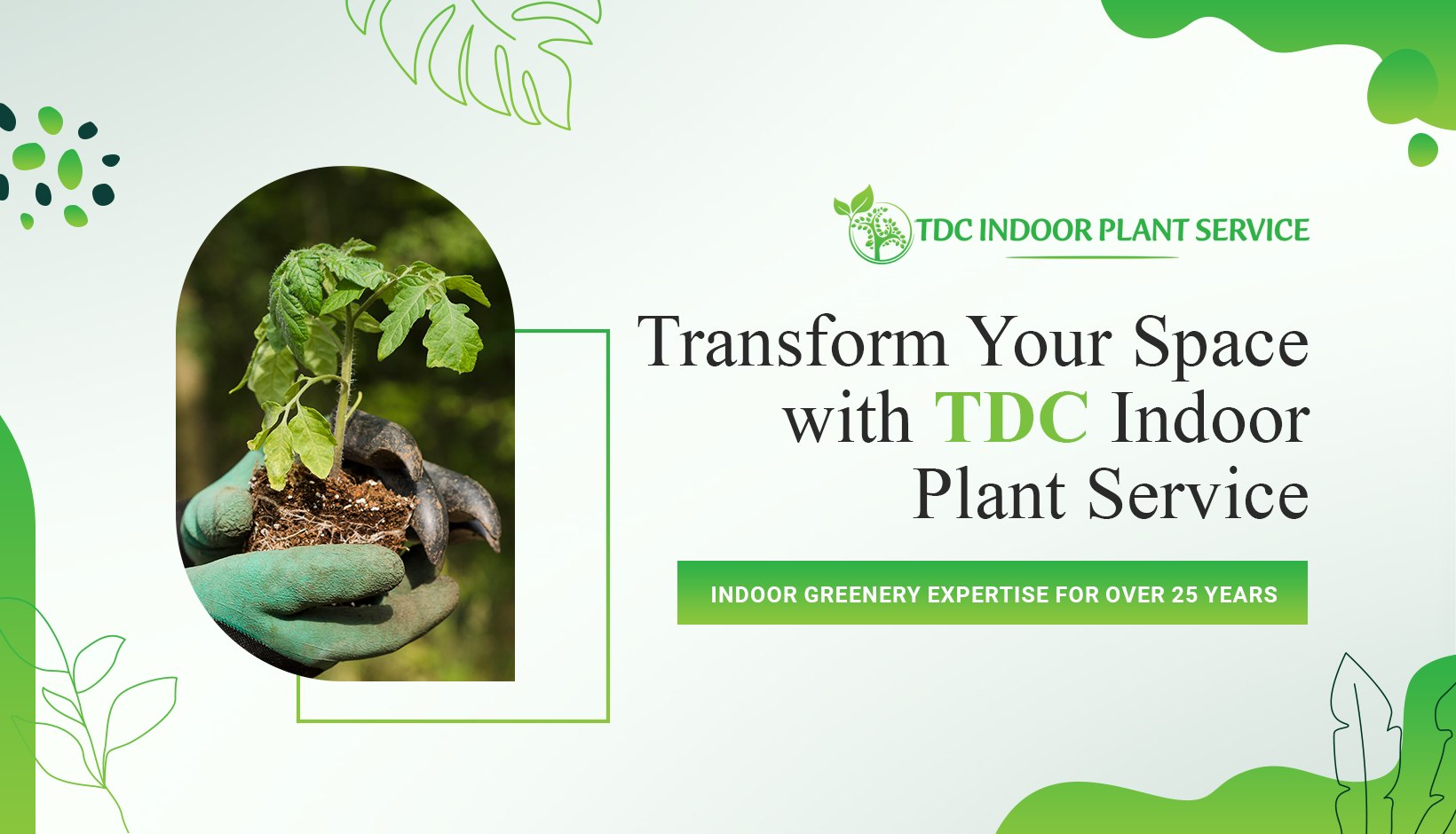 TDC Indoor Plant Service