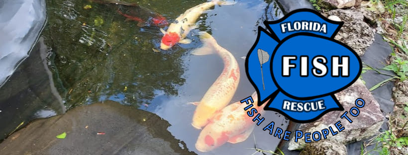 Florida Fish Rescue / aquatic animal shelters