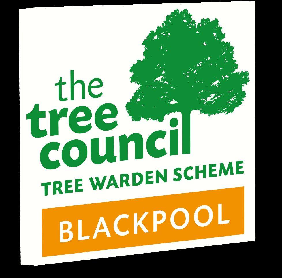 🌳 A fascinating day... - Blackpool Tree Warden Network | Facebook