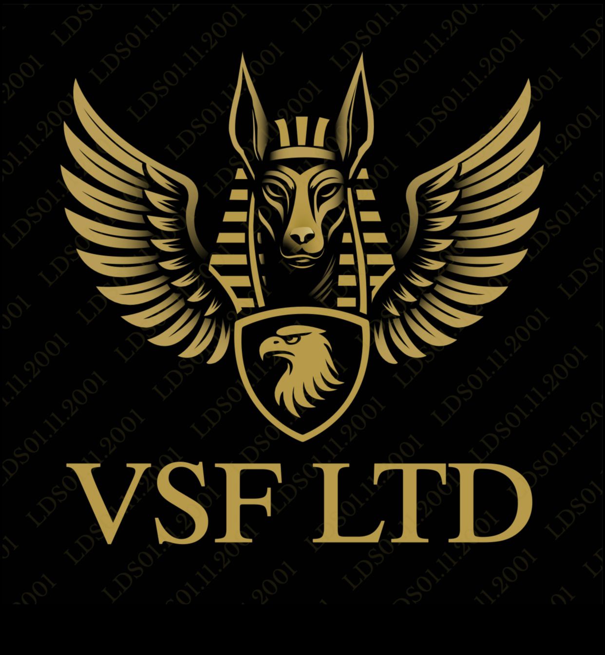 VSF Security Ltd. | San Pedro