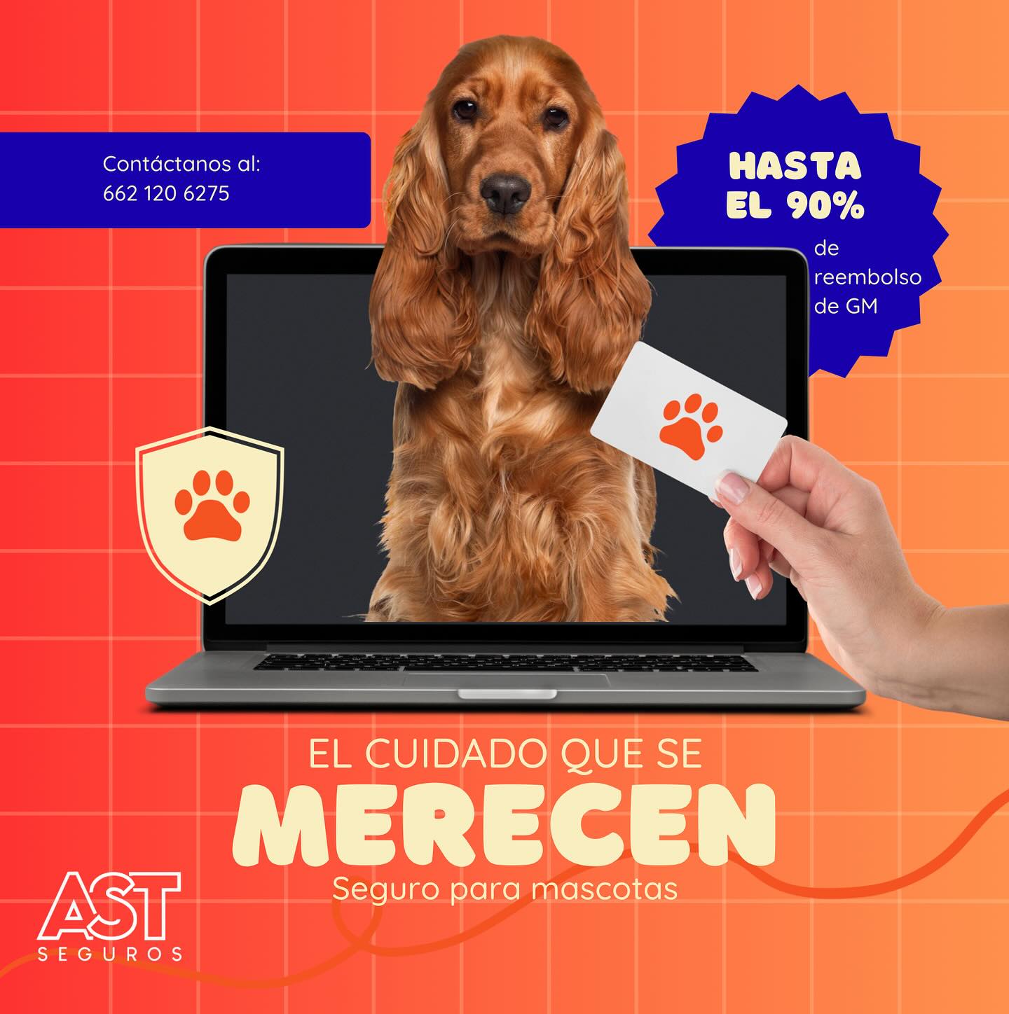 AST Seguros | Hermosillo
