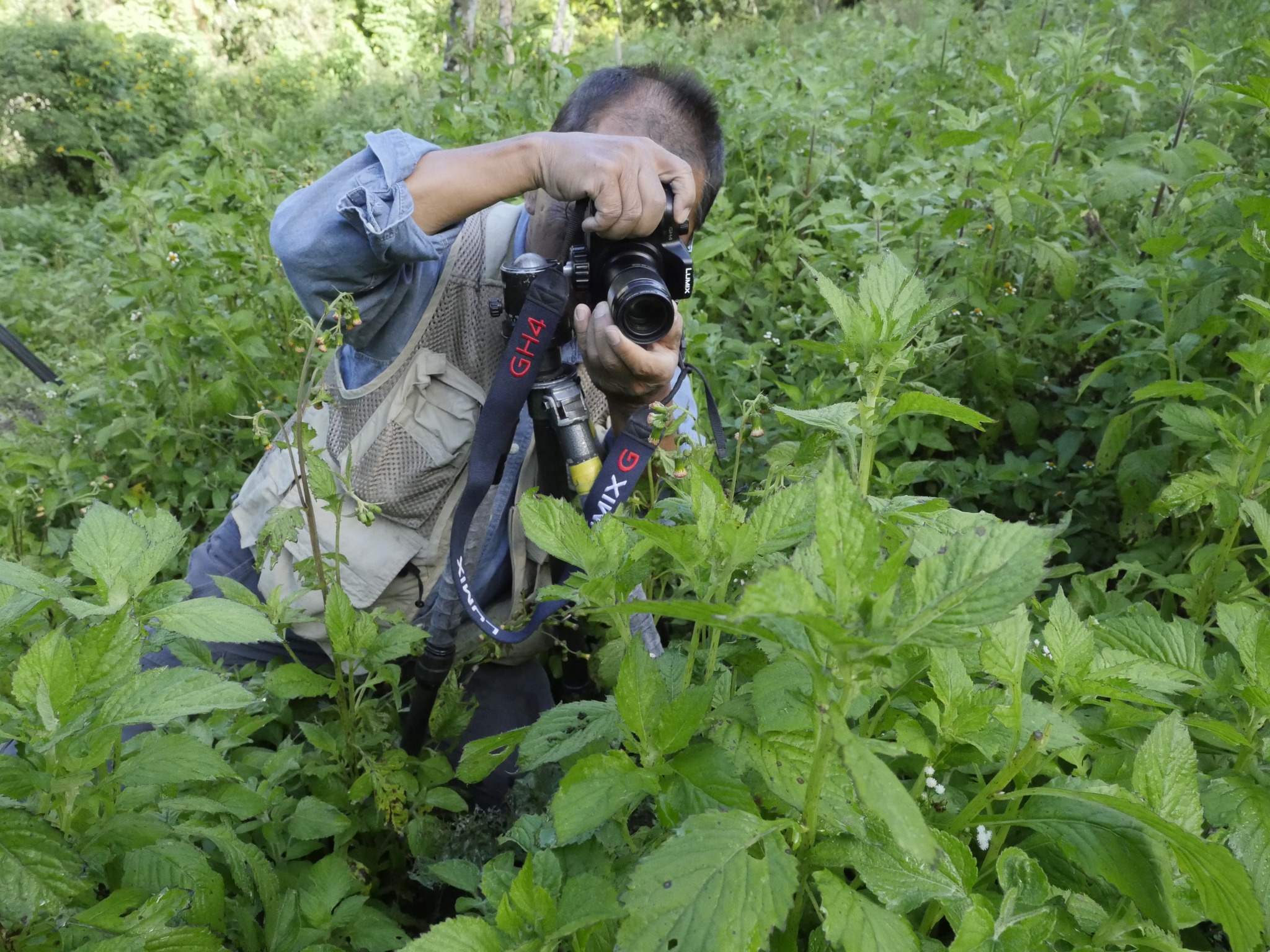 昆虫植物写真家・山口進さんを慕う有志の会