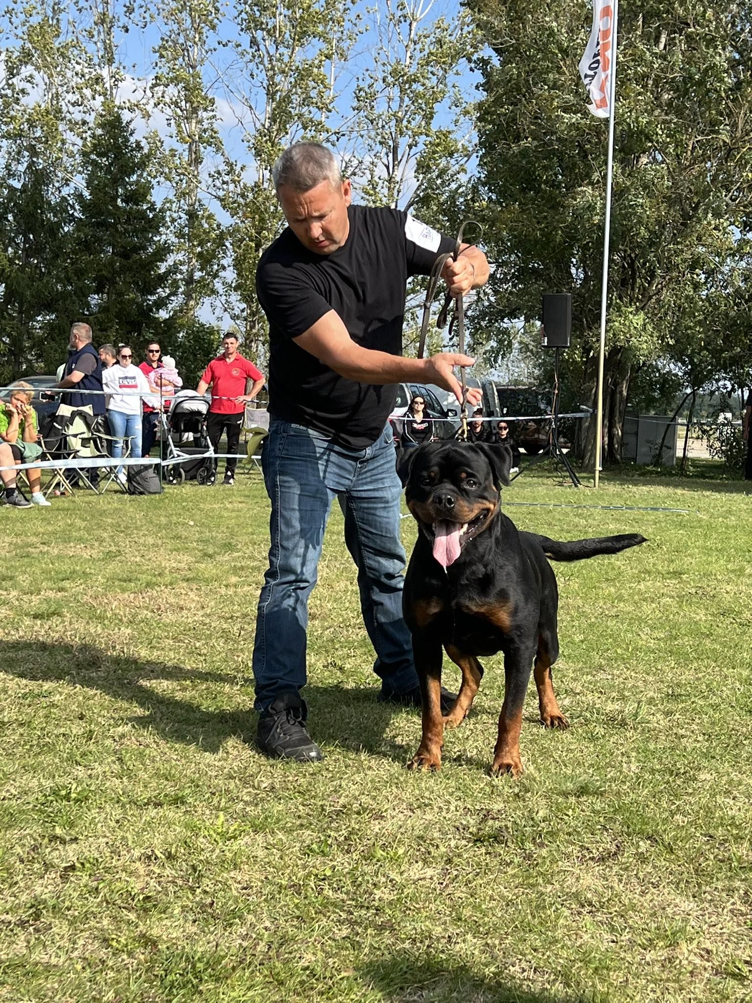 Rottweiler von sozen added a new photo. - Rottweiler von sozen