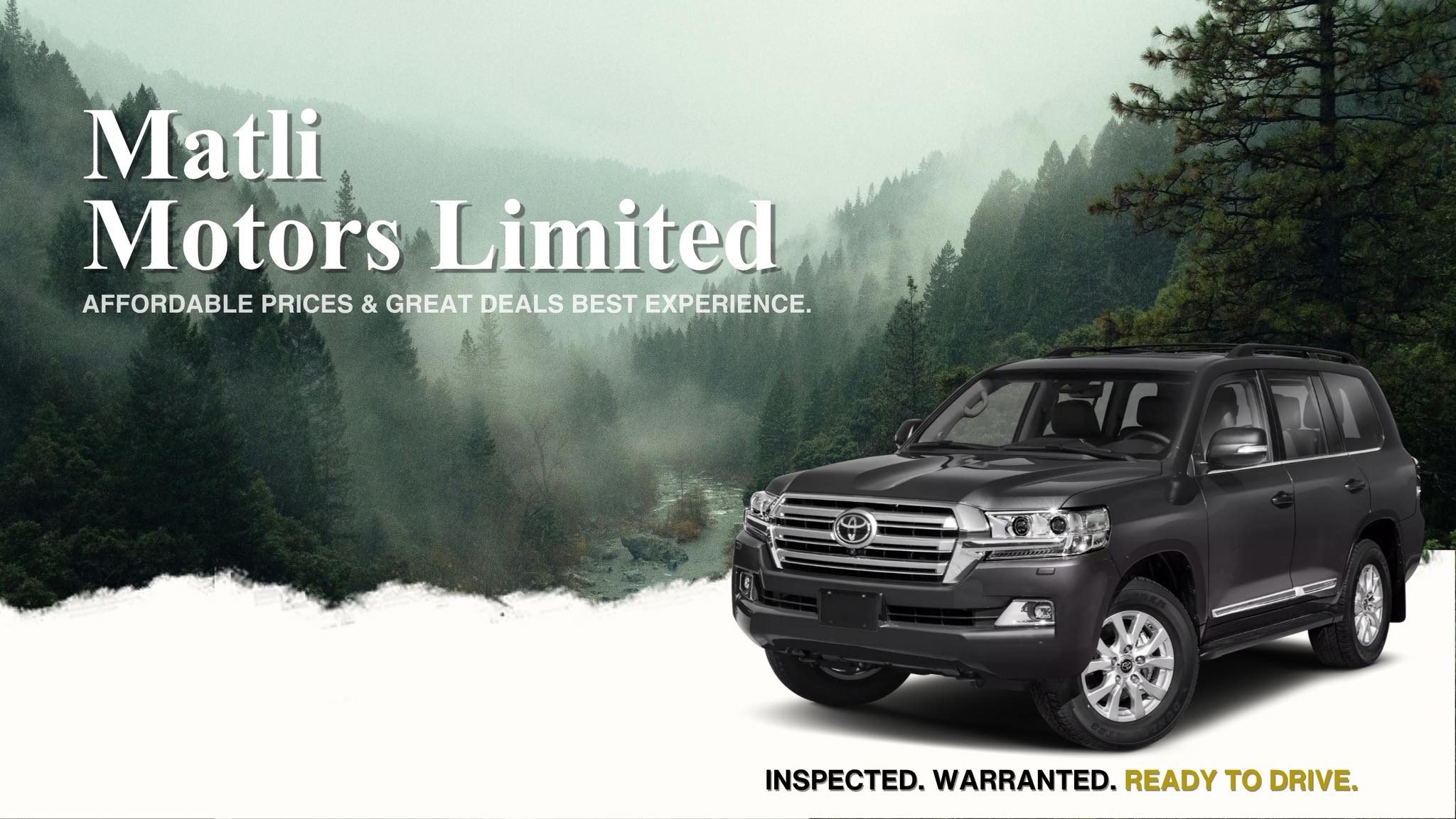 Matli Motors Limited | Southend-on-Sea
