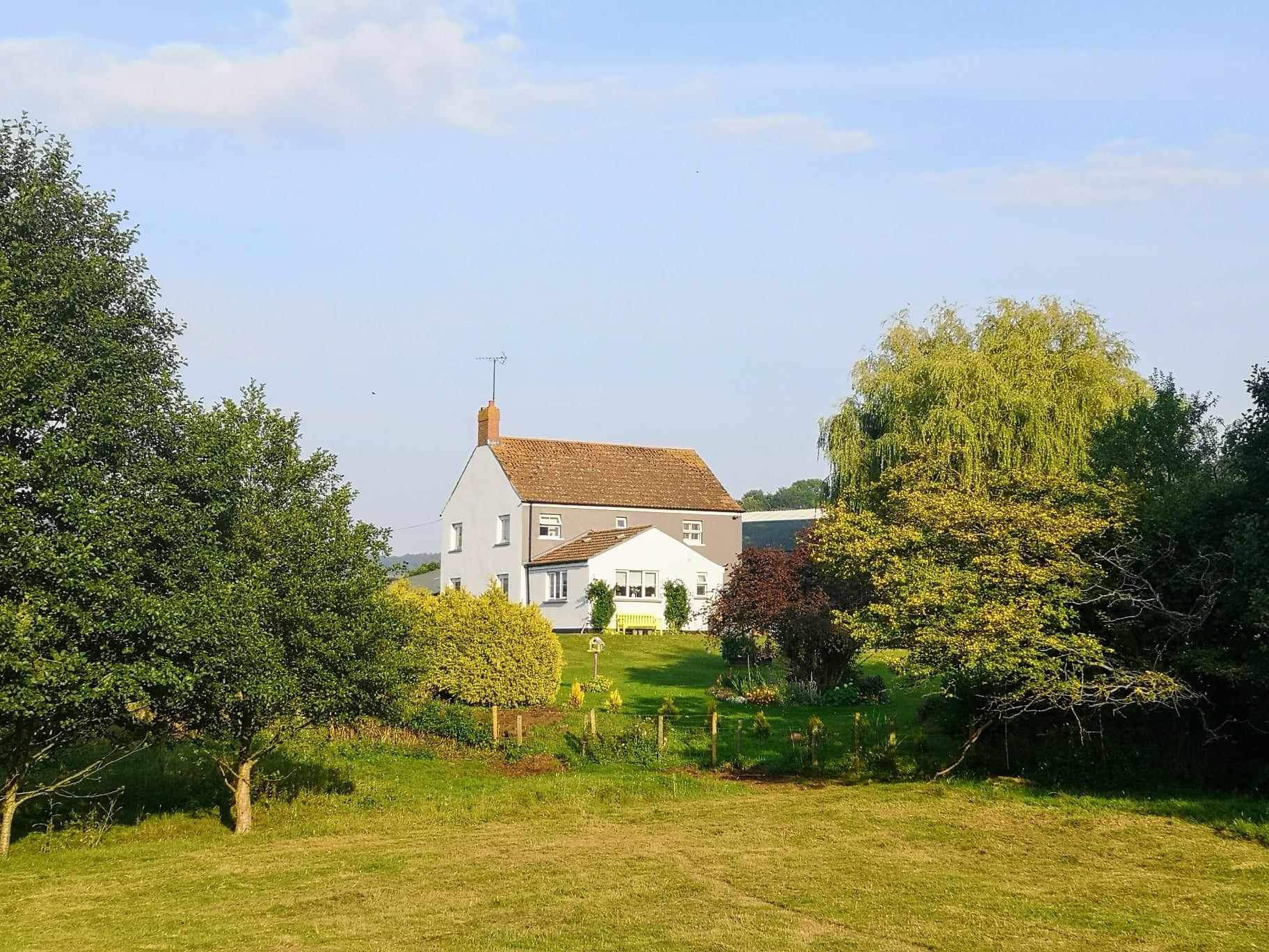 Willow Tree Wellness Juicing Escape | Usk