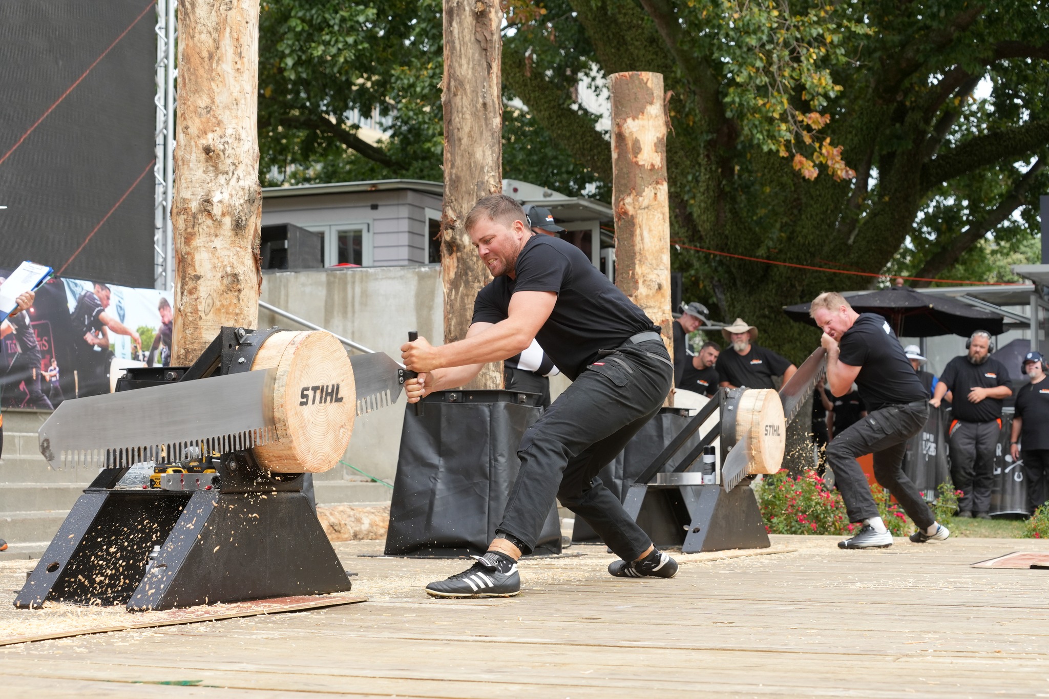 STIHL Timbersports NZ