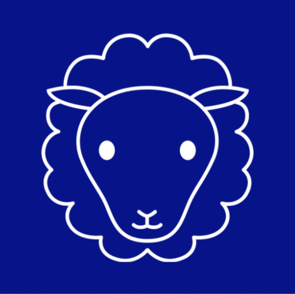 Shearing 6,000 sheep using 6-stands (4-stand trailer plus 2 extra ...