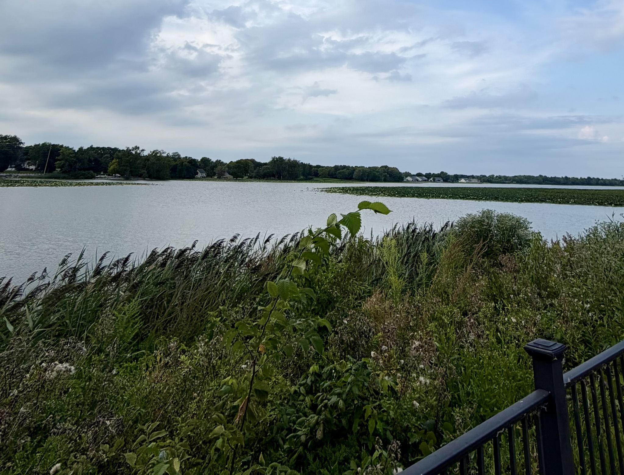 The Harbor Kitchen and Bar | Port Clinton OH