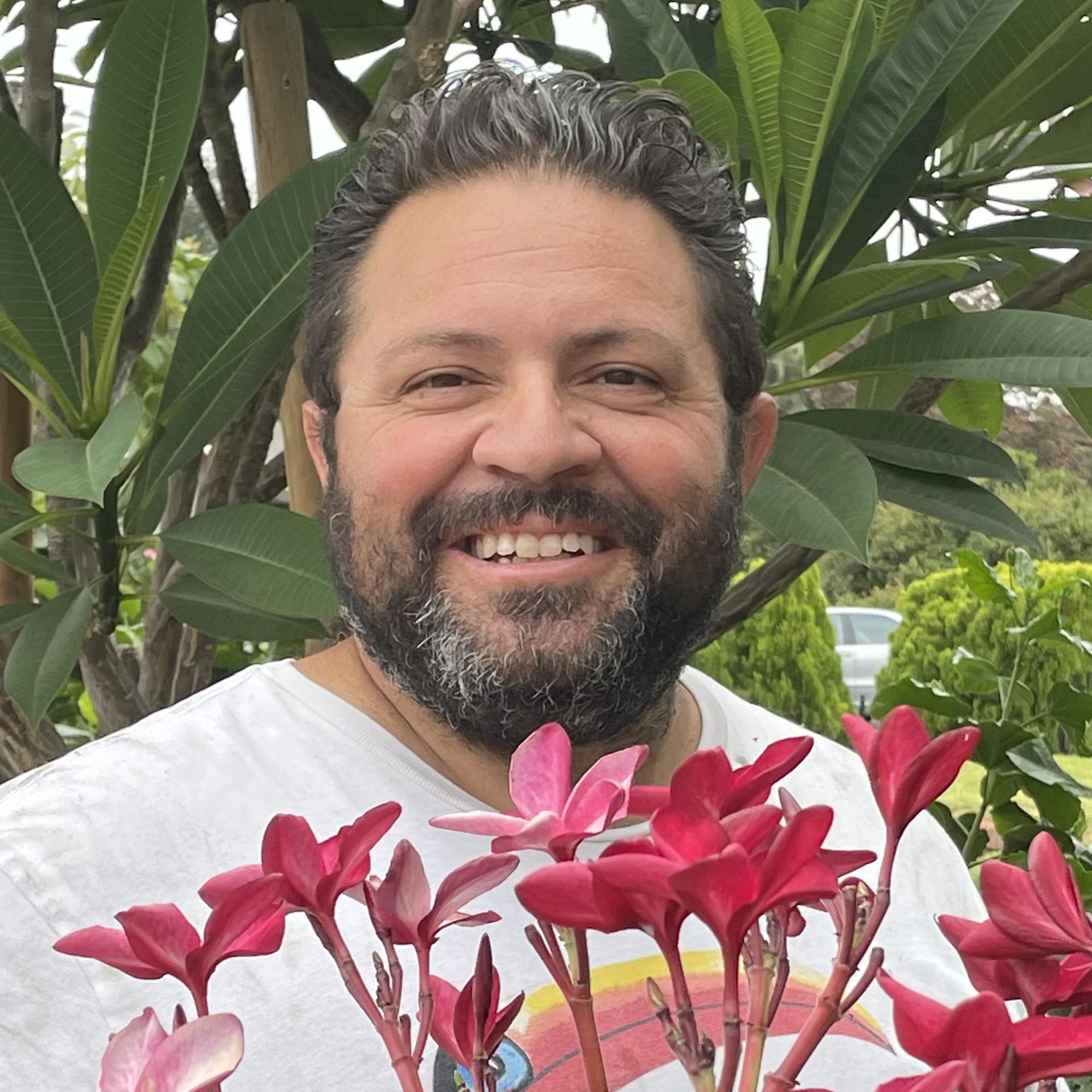 How to Cut and Callous Plumeria Cuttings (Step-by-Step -the way I do it ...