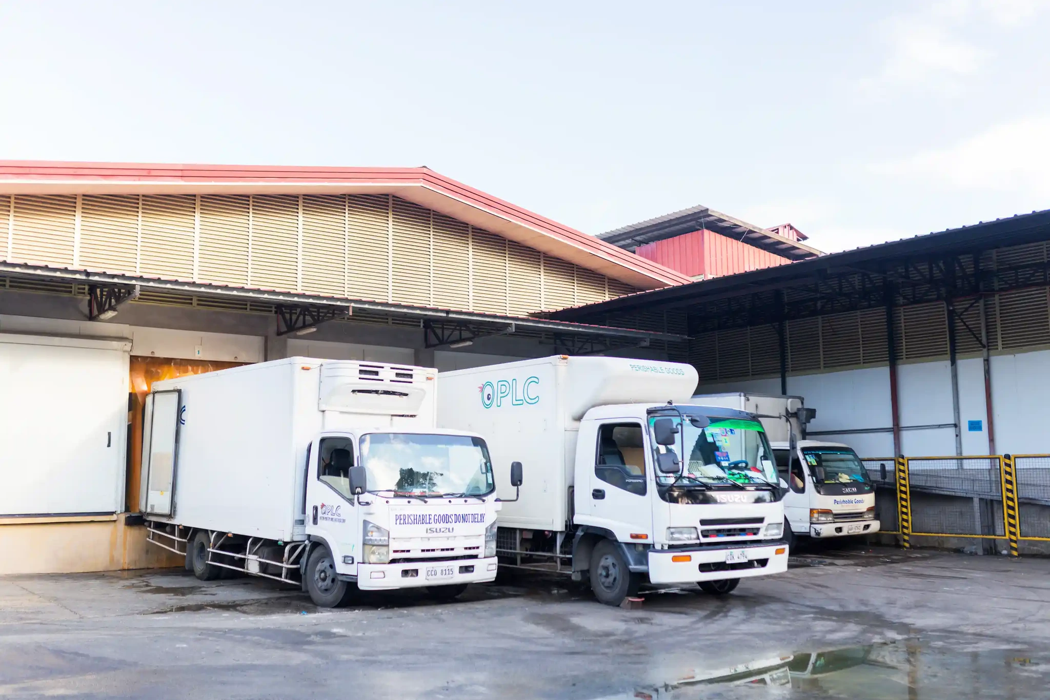 QPLC Dressed Chicken and Eggs | Baras