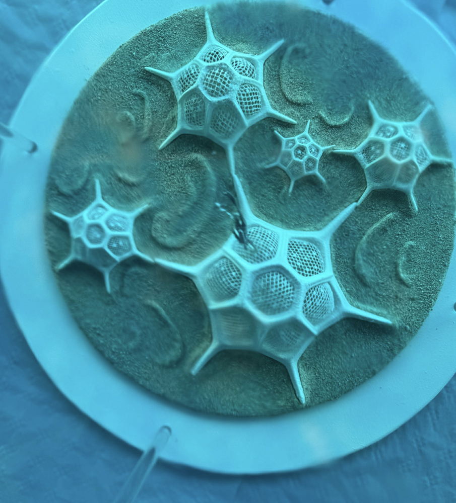 Geotherapy Institute for Art and Field Sciences