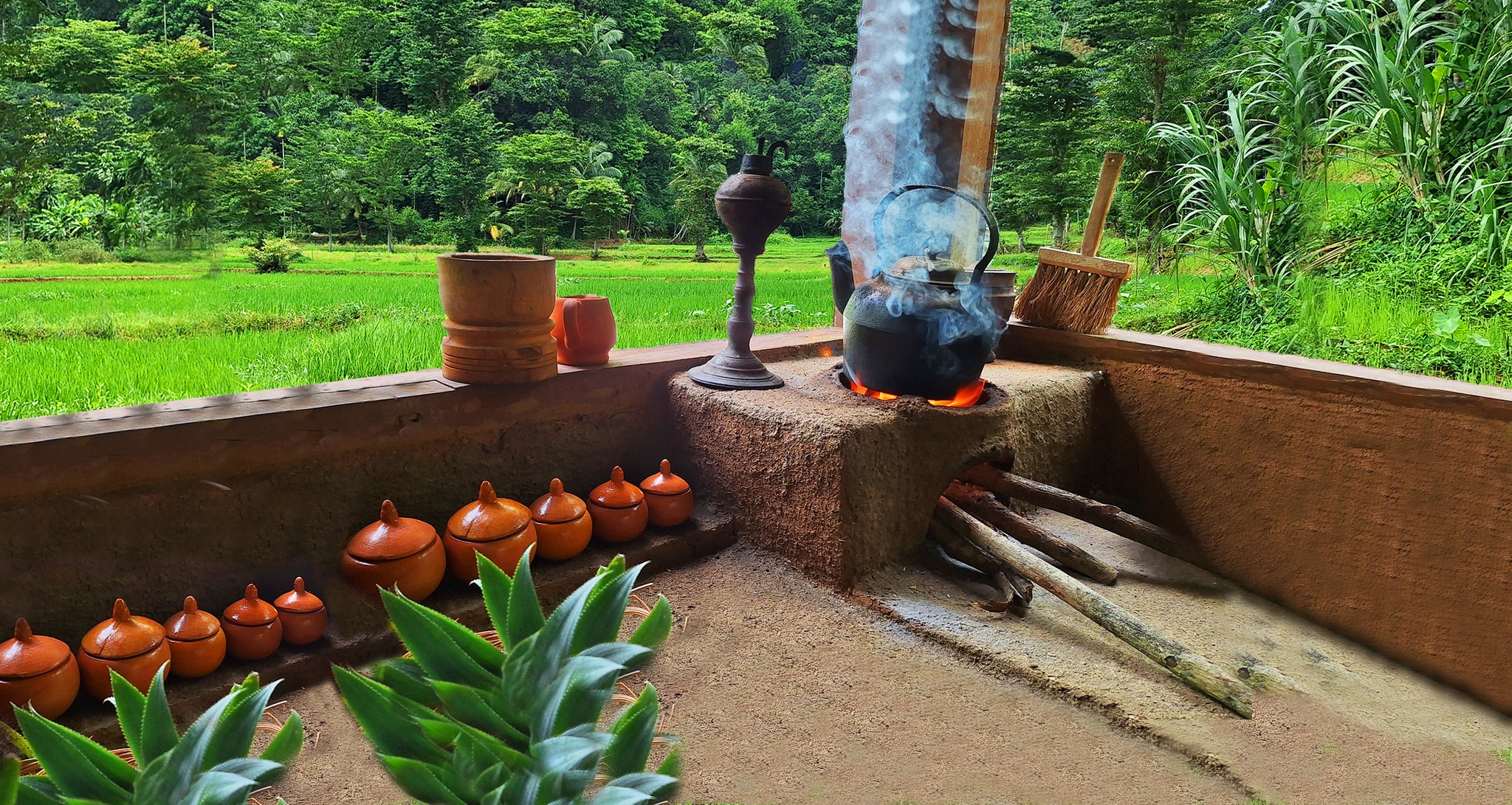My Rural Lifestyle