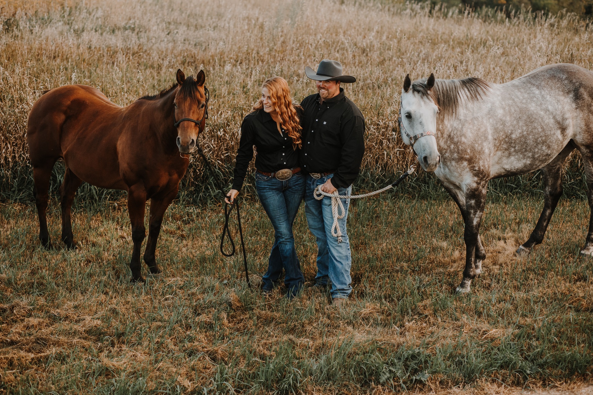 ️ Let’s talk about our stud. ️... - Iron Rose Ranch Equine | Facebook