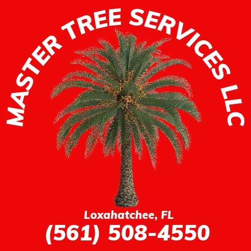 Master Tree Services LLC | Loxahatchee FL