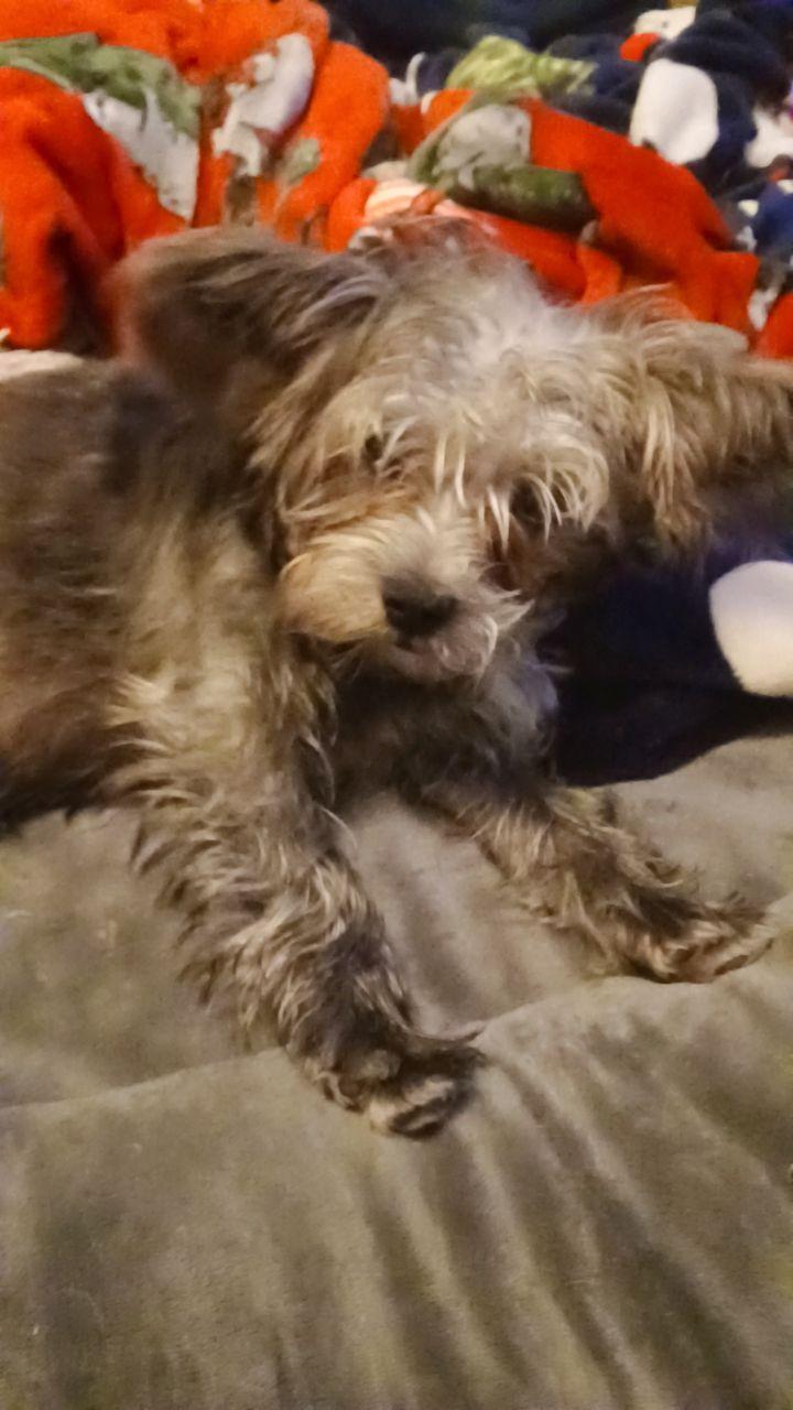 bobby-from-the-usa