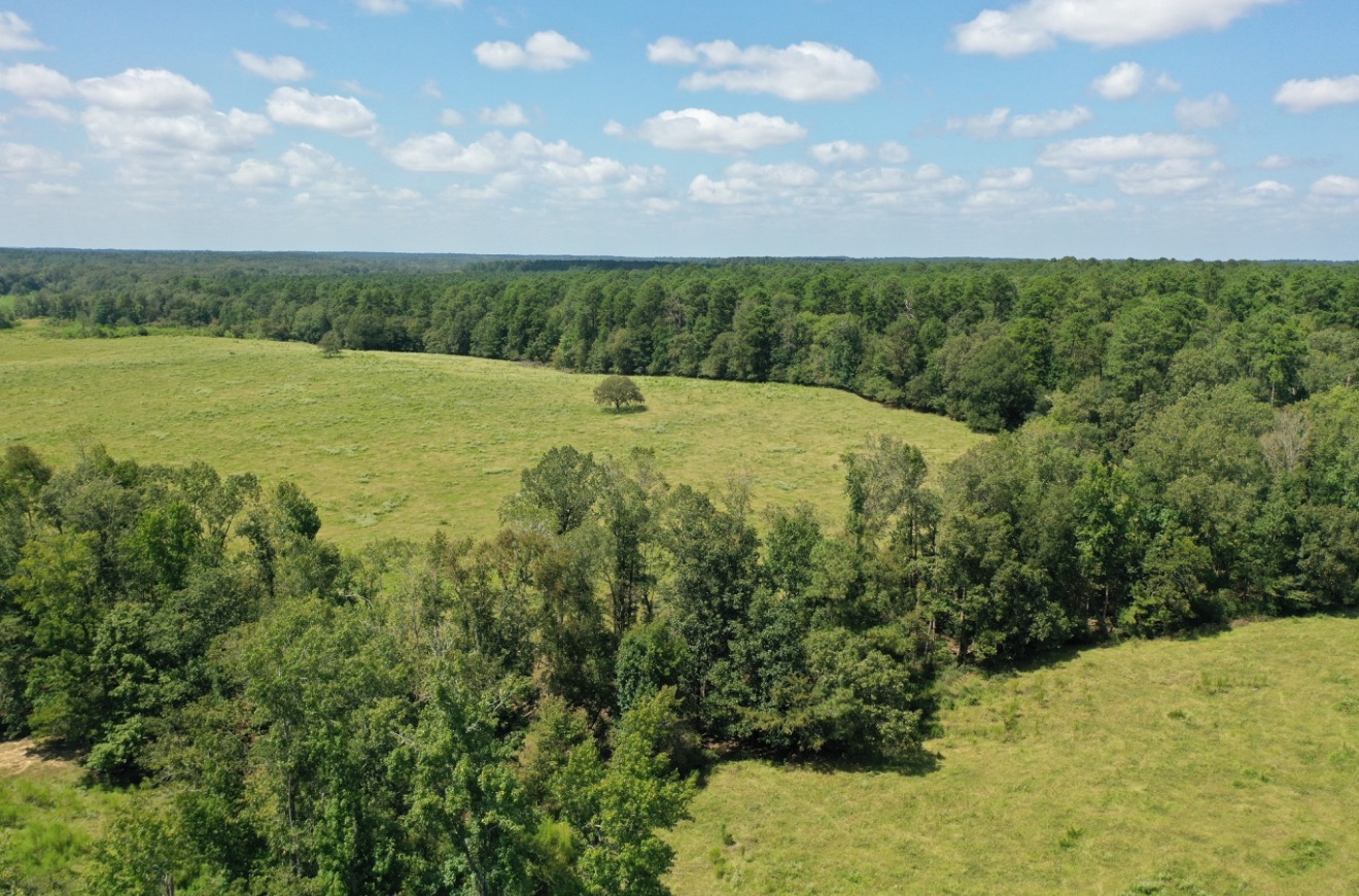 Baty Ranch