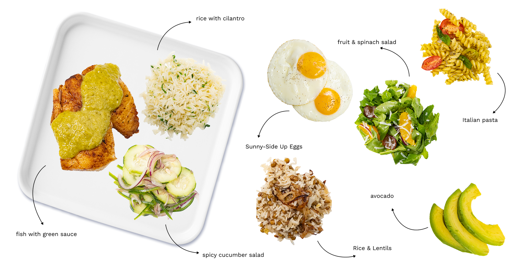 Nutrition Visual Tools