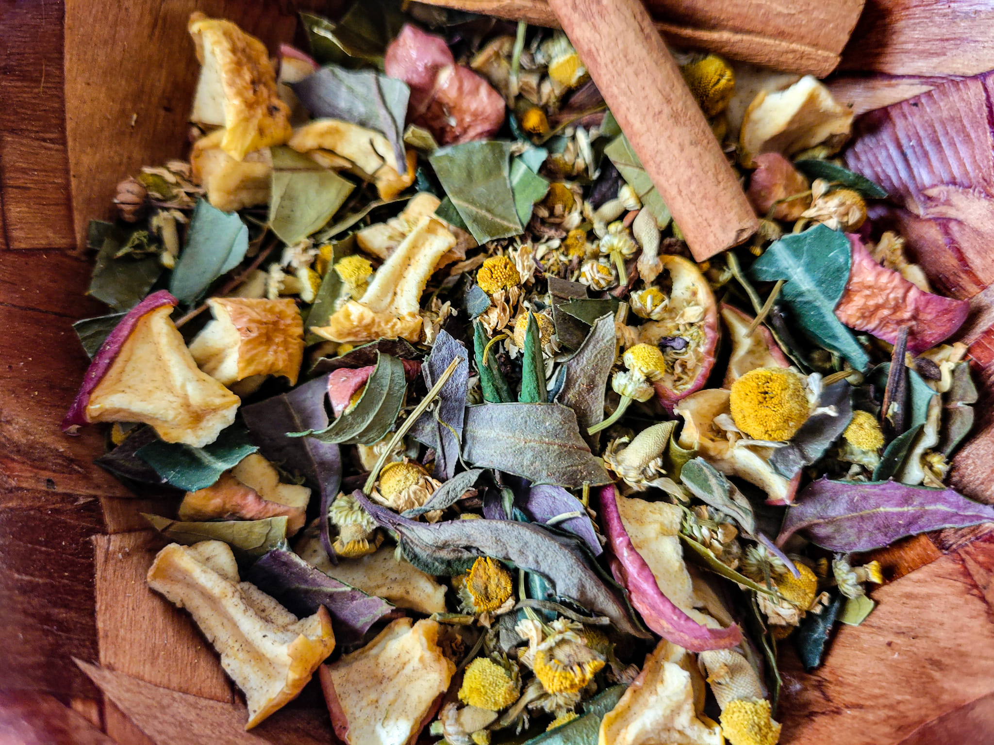 Foraging for Wild Plants, Mushrooms Hedgewitchery Herbs