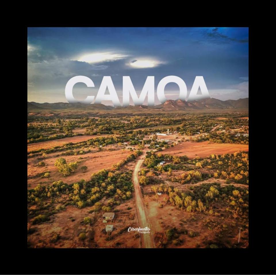 Camoa Bonito