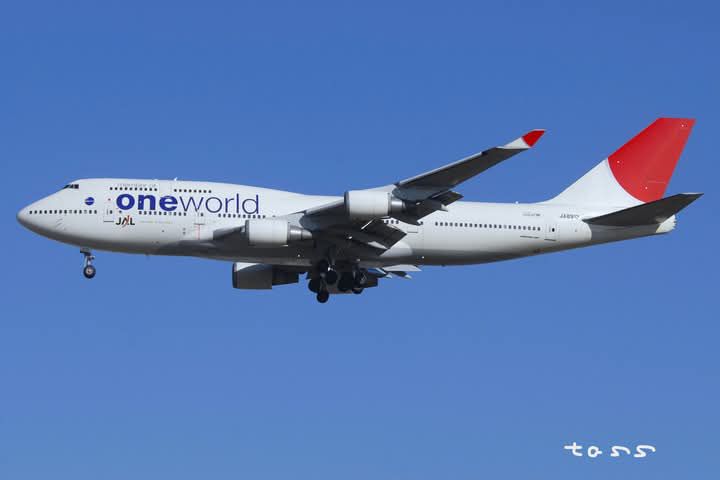 Japan Airlines - JAL Boeing 747-146B/SR/SUD JA8170 cn: 23390