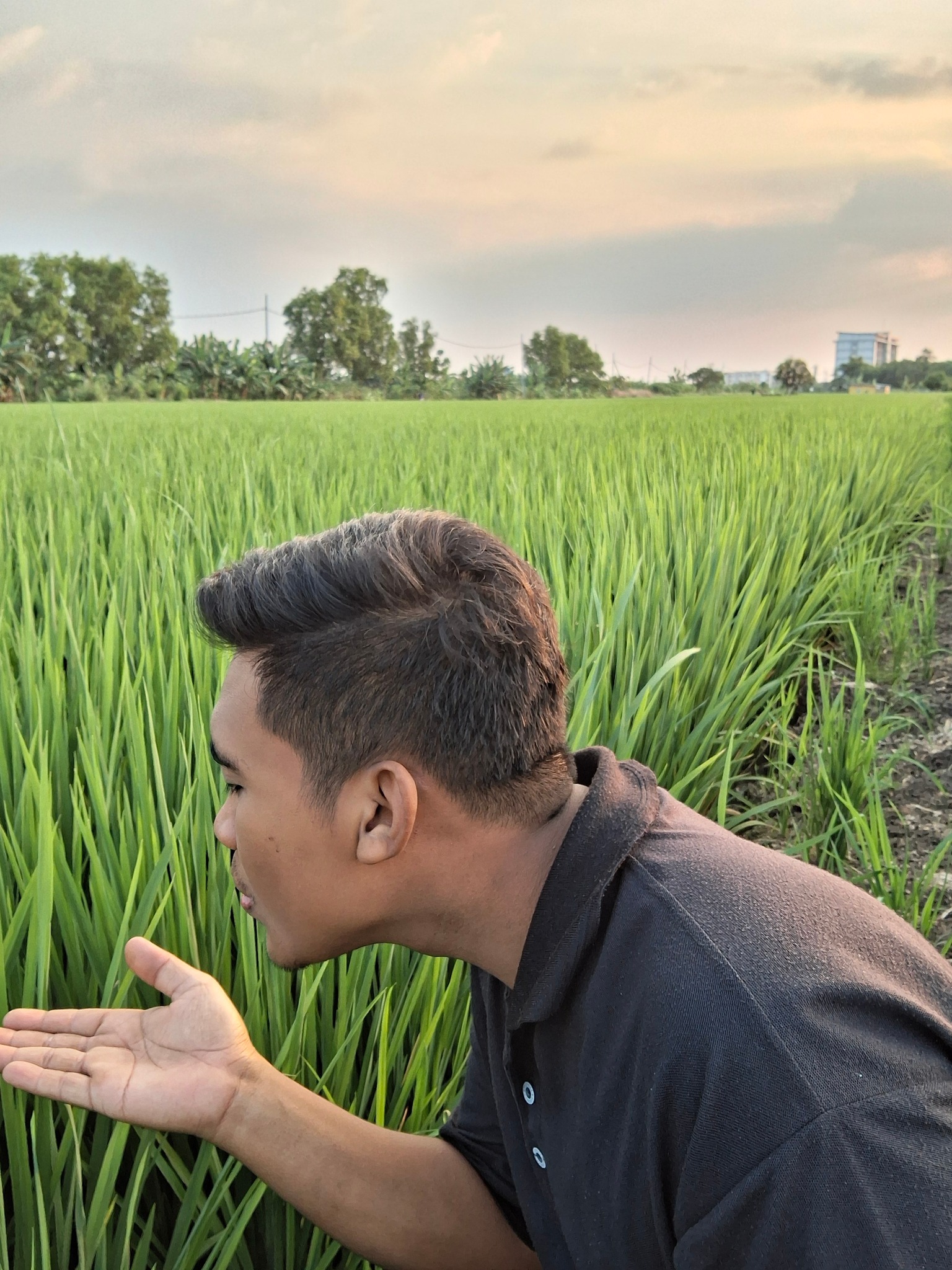 Budi Sibogang
