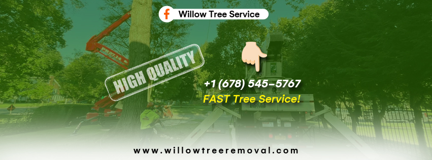 Willow Fast Tree Service Atlanta | Norcross GA