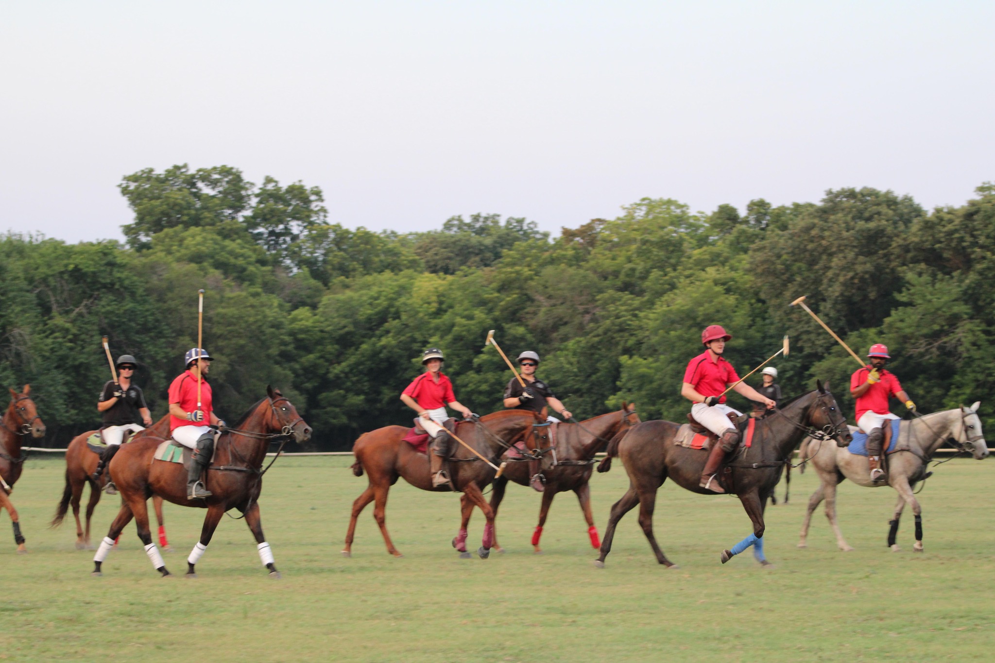 The Polo Club at Holmdel added... - The Polo Club at Holmdel