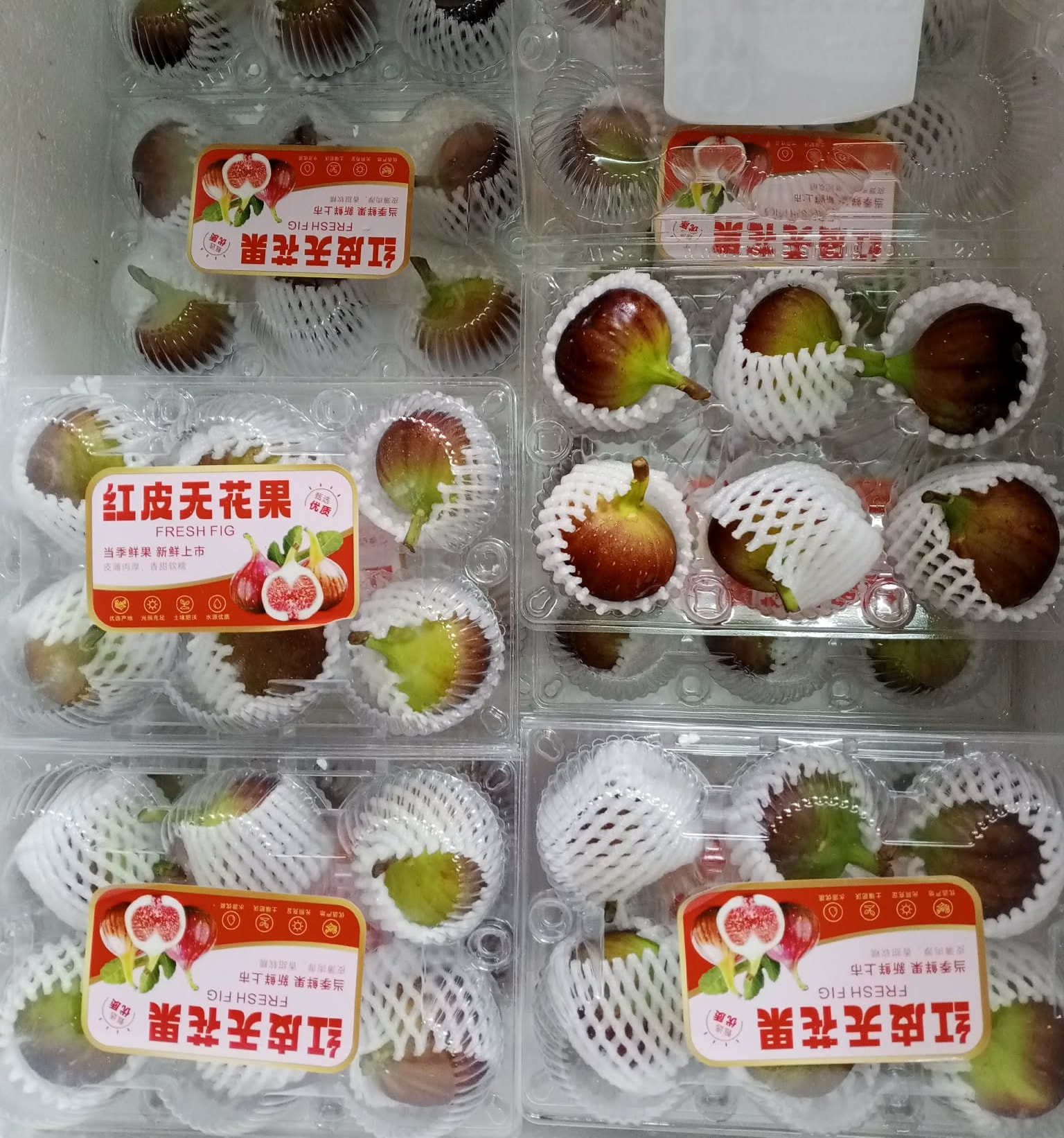 JUST IN* JP Sweet potato, 1050/2kg TW Red guava, 440/4pcs TH 