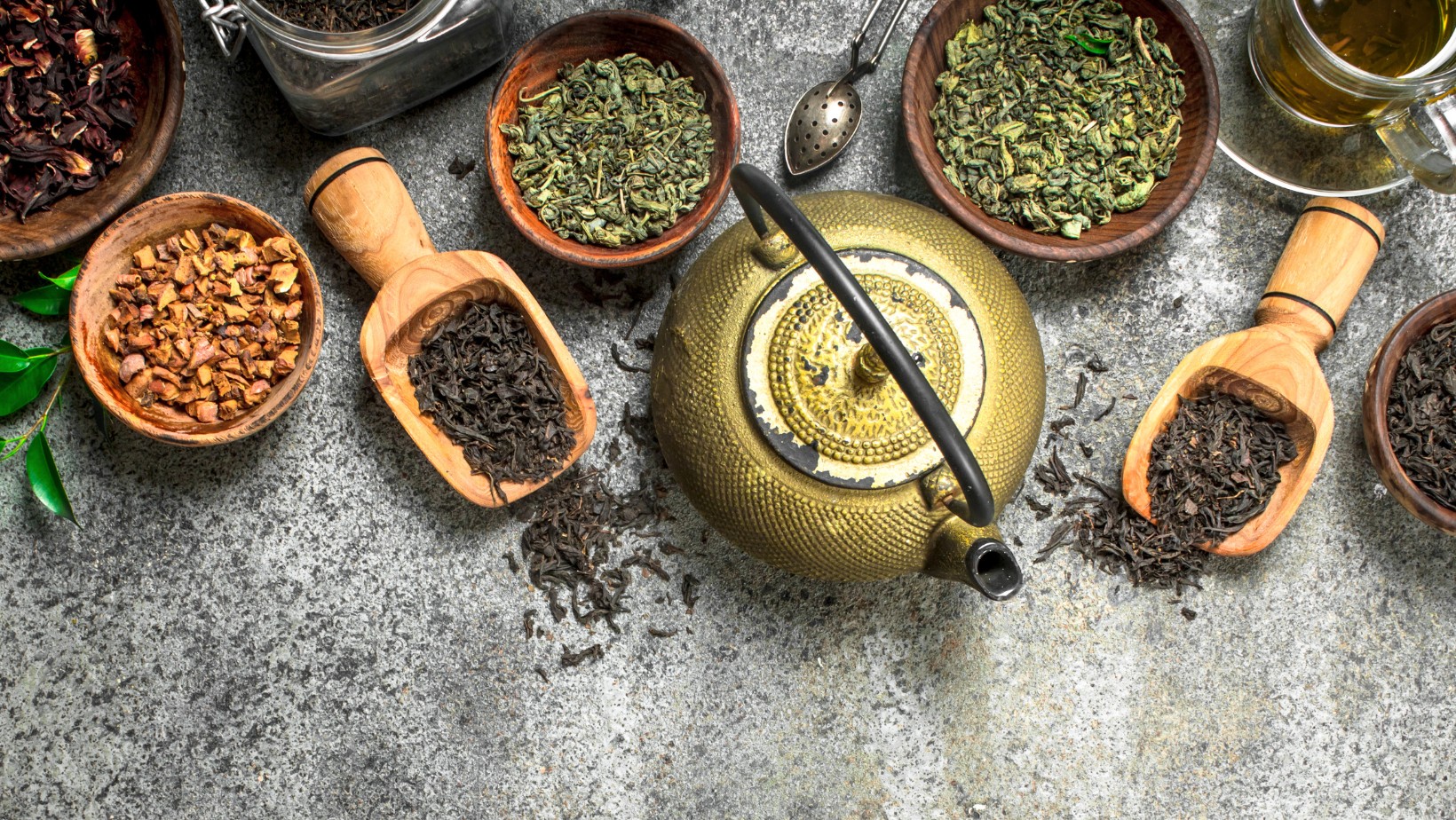 The Tea Expert