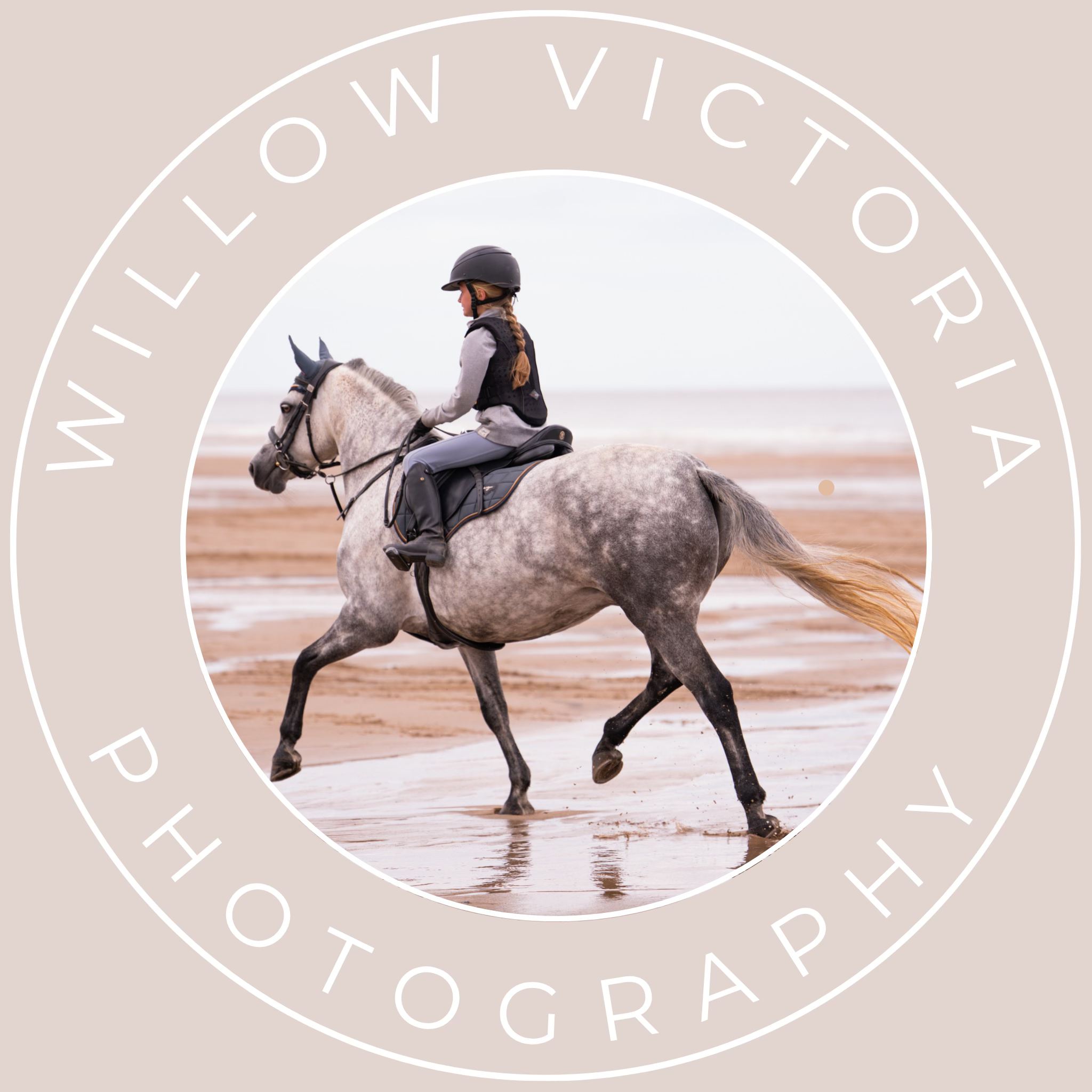 Willow Victoria Equine