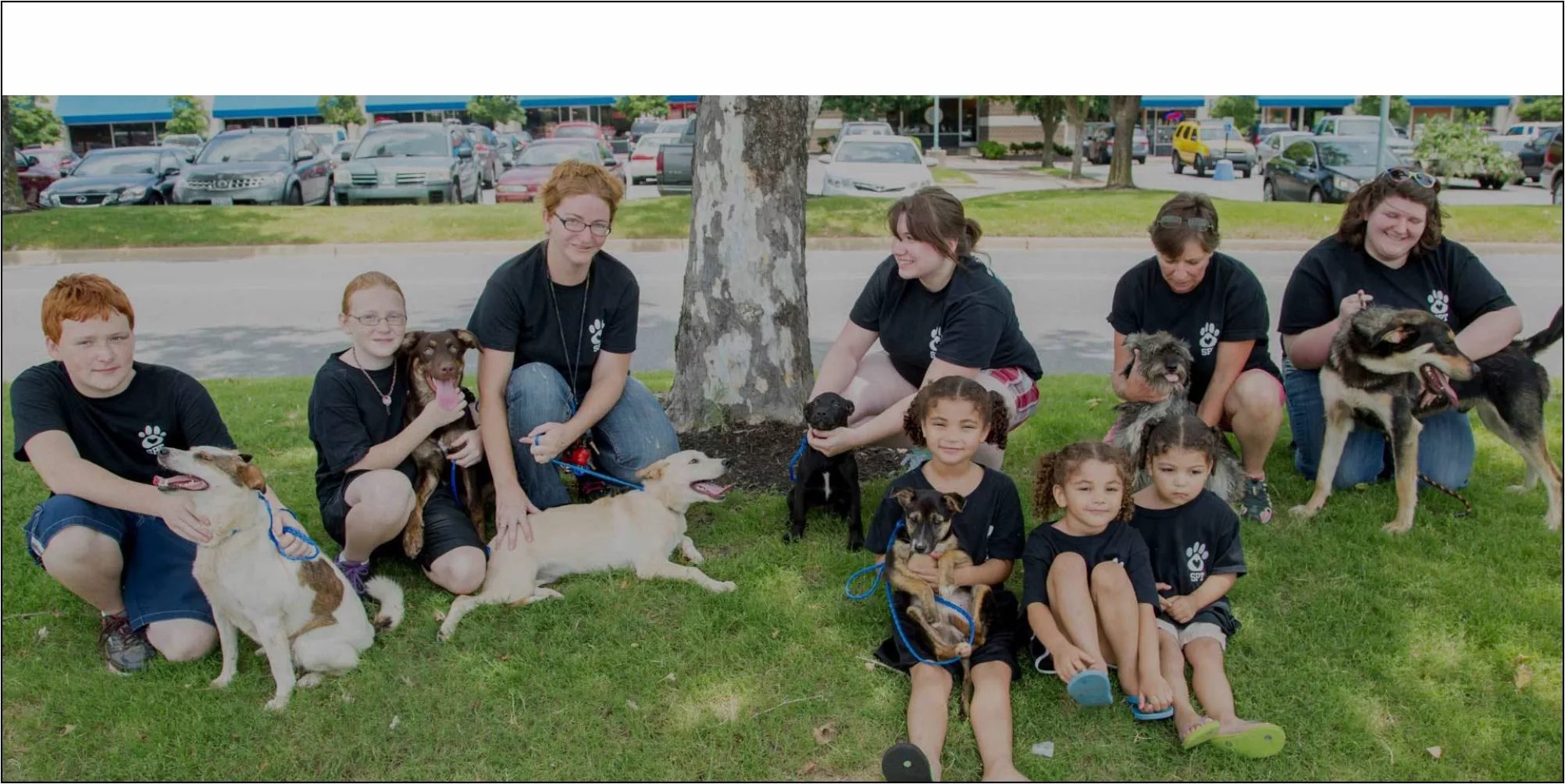 North Little Rock Animal Services | North Little Rock AR