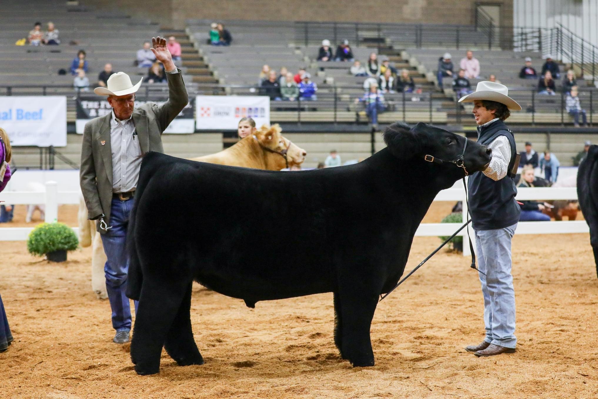 Boyer Cattle | Maquon IL