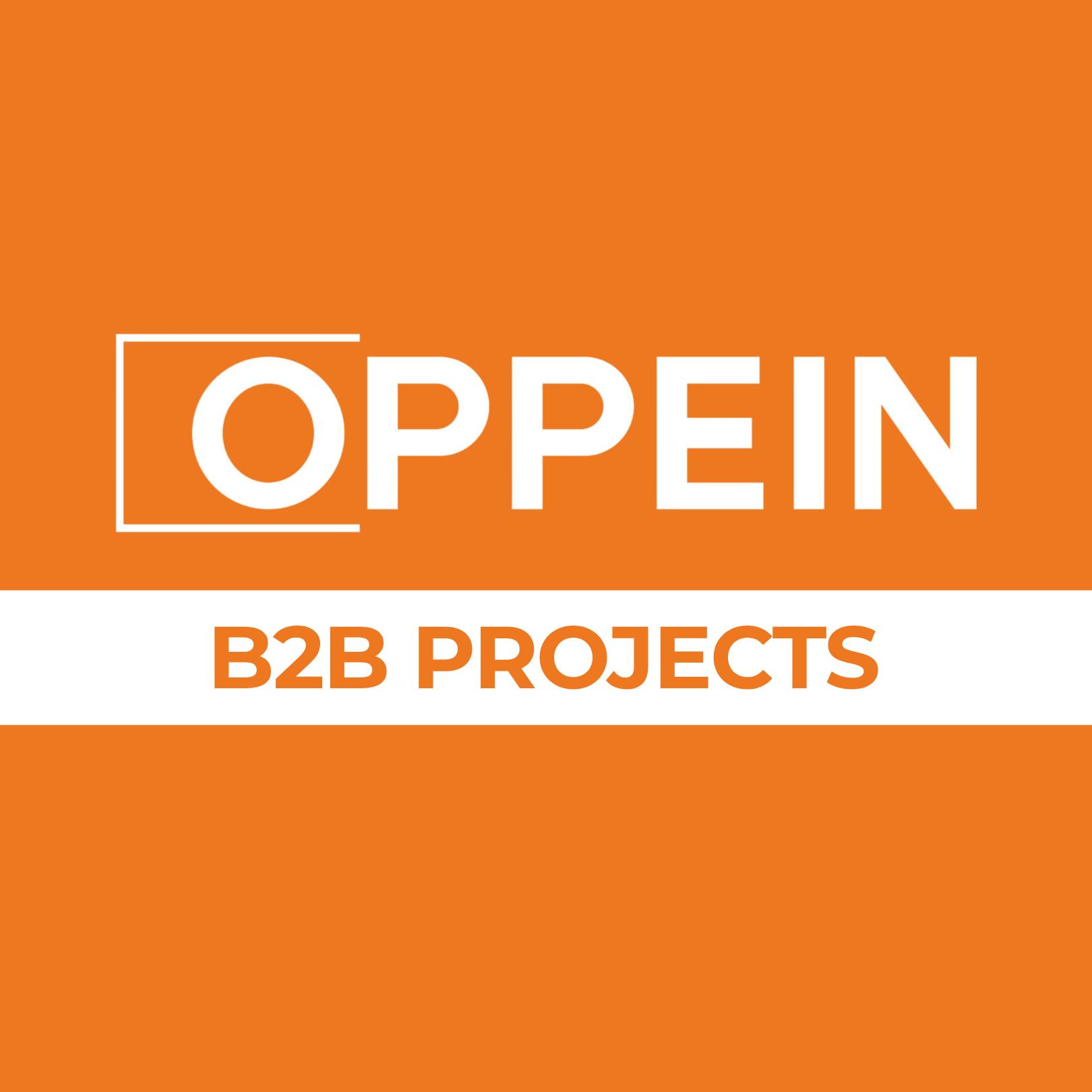Bridging Architectural Vision and Precision Execution: The OPPEIN ...