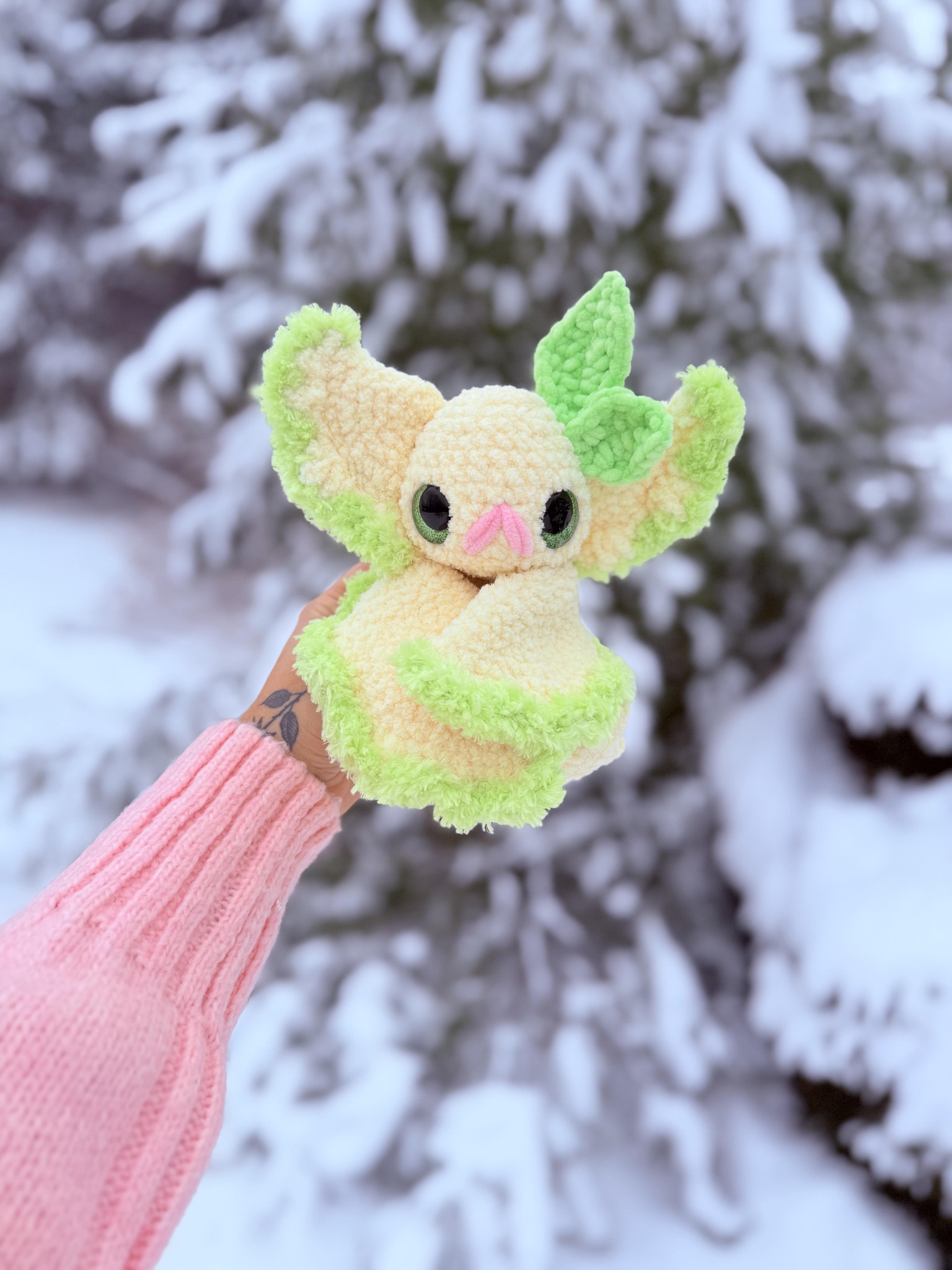 Lemon Cat Crochet | Maine ME