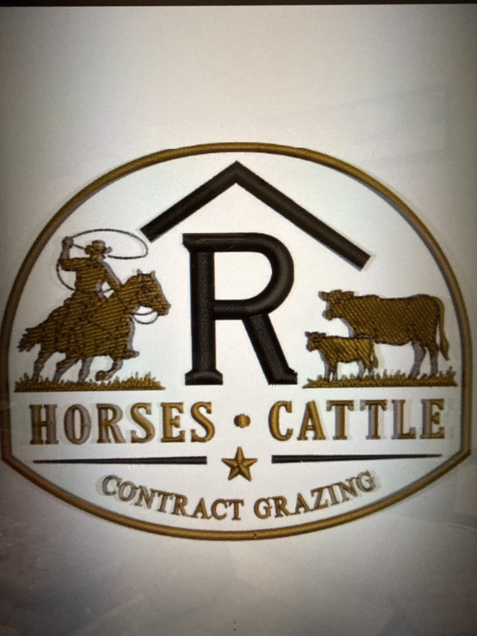 Rafter R Horses • Cattle Contract Grazing on Reels