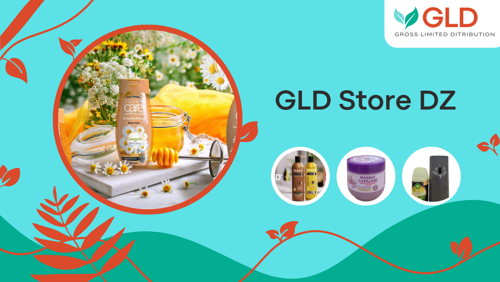 GLD Store DZ | Tlemcen