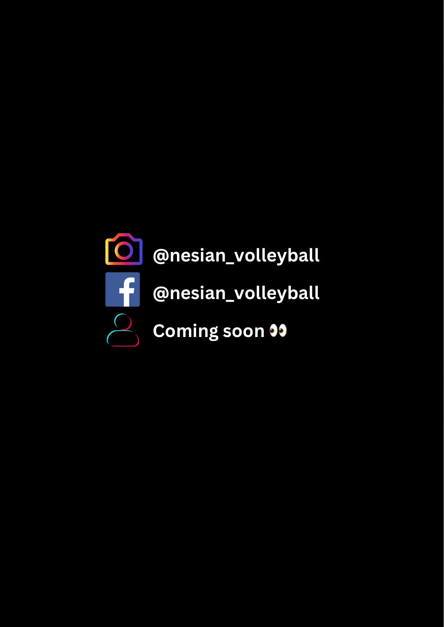 Nesian Volleyball Club