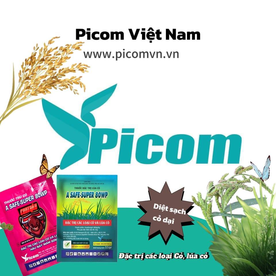 Picom Việt Nam